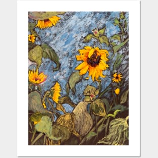 Shy Sunflowers Posters and Art